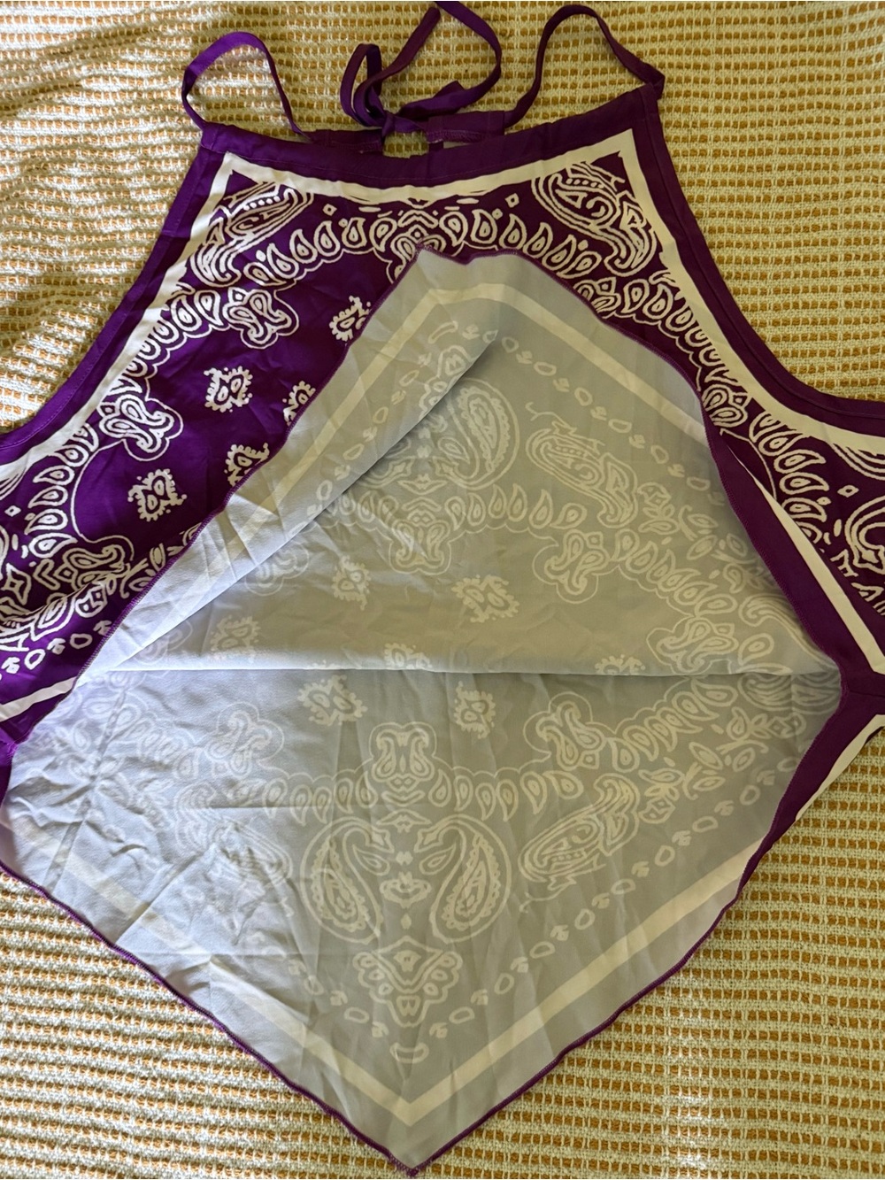 Handkerchief Style Halter Crop Top - Picture 7 of 7